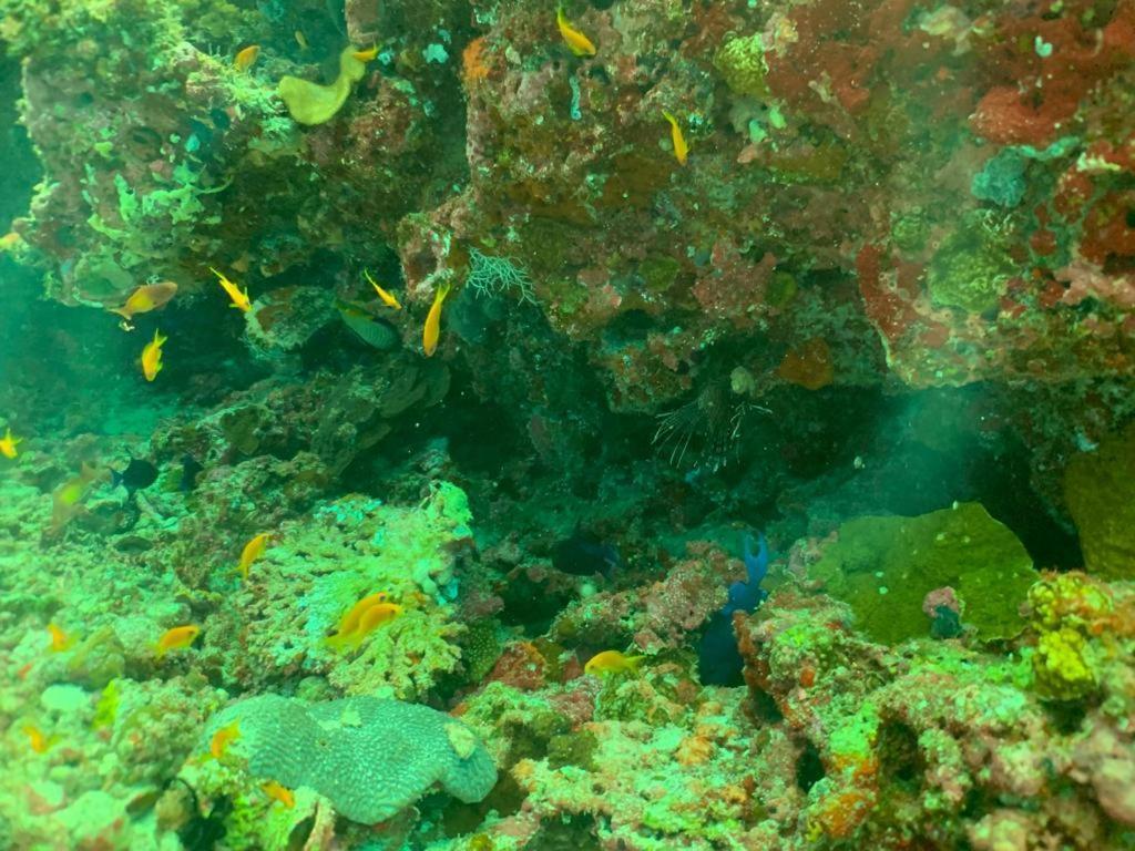 Beach Star Maldives Hangnaameedhoo Eksteriør billede